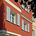 Klappfensterladen ACORIT FL 50 (mit fester Lamellenfüllung)